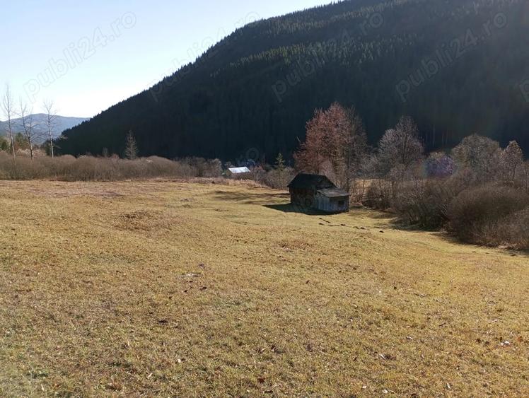Teren de 17707 mp, în Grințieș