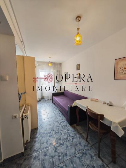 Apartament cu 2 camere semidecomandat, mobilat în Păcurari