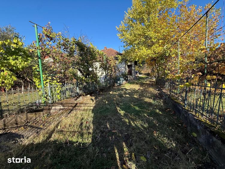Teren de 1437 mp, în Valea Borcutului