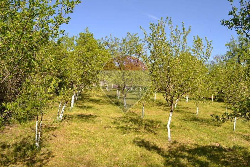 Casă cu 5 camere cu Teren 1842 Mp în Boboci