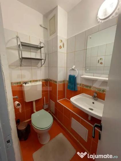 Apartament cu 3 camere decomandat în Lăpuș