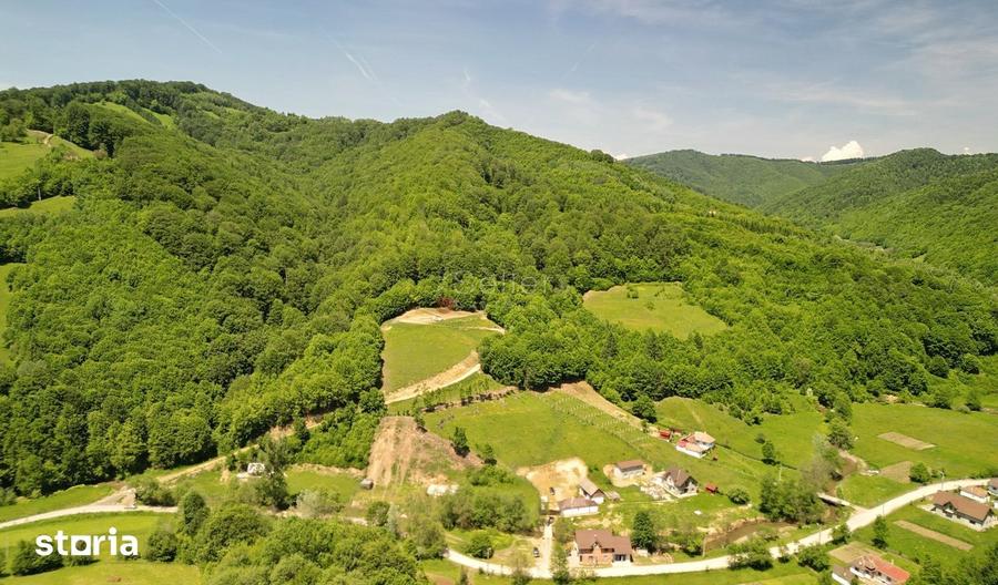 Teren de 16000 mp, în Holbav