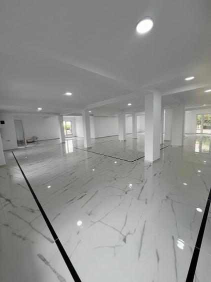 Spațiu comercial, de 250 mp, în Dumbrăvița