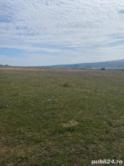 Teren de 50000 mp, în Florești
