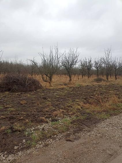 Teren Construcții intravilan de 455 mp, în Periferie