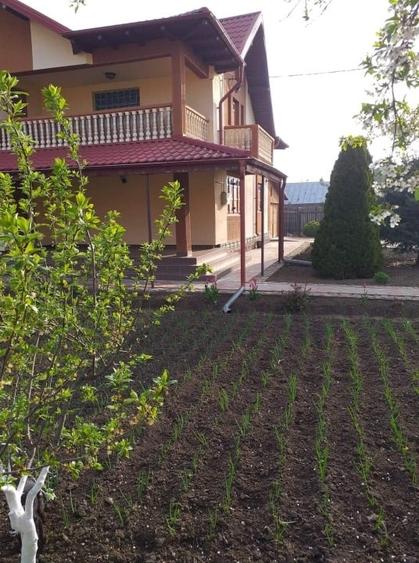 Casă individuală cu 4 camere cu Teren 1500 Mp în Fulga de Jos
