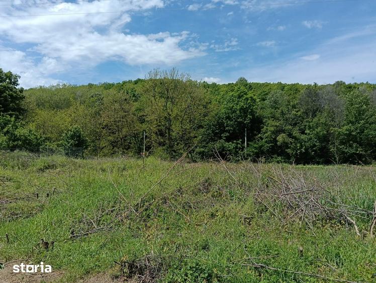 Teren de 1807 mp, în Cocorăștii Mislii