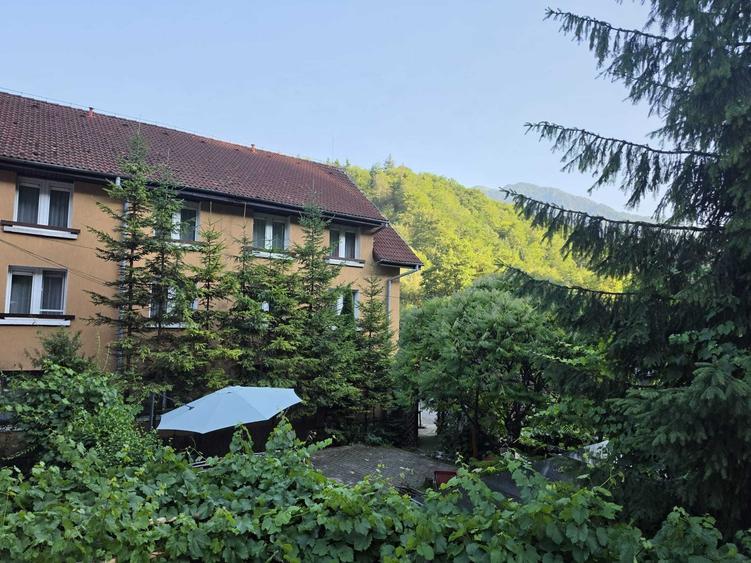 Motel - Pensiune Brasov - Timisul de Jos (DN1) - 6