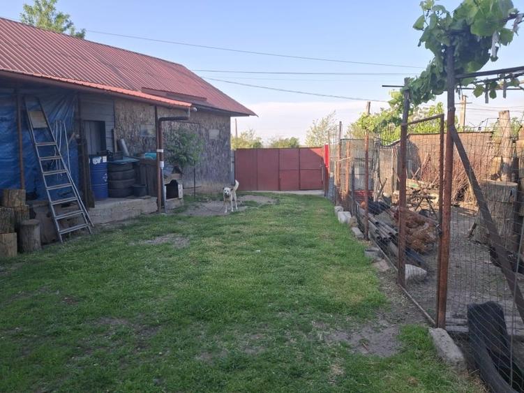 Casă individuală cu 4 camere cu Canalizare în Viișoara