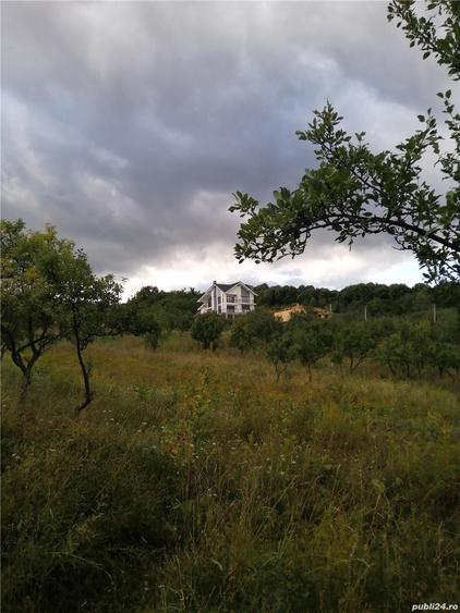Teren de 2200 mp, în Dealul Malului