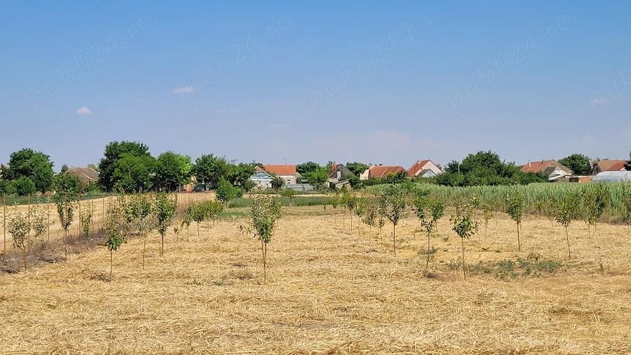 Casă cu Teren 3400 Mp în Checea