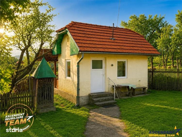 Spațiu comercial, în Dalnic
