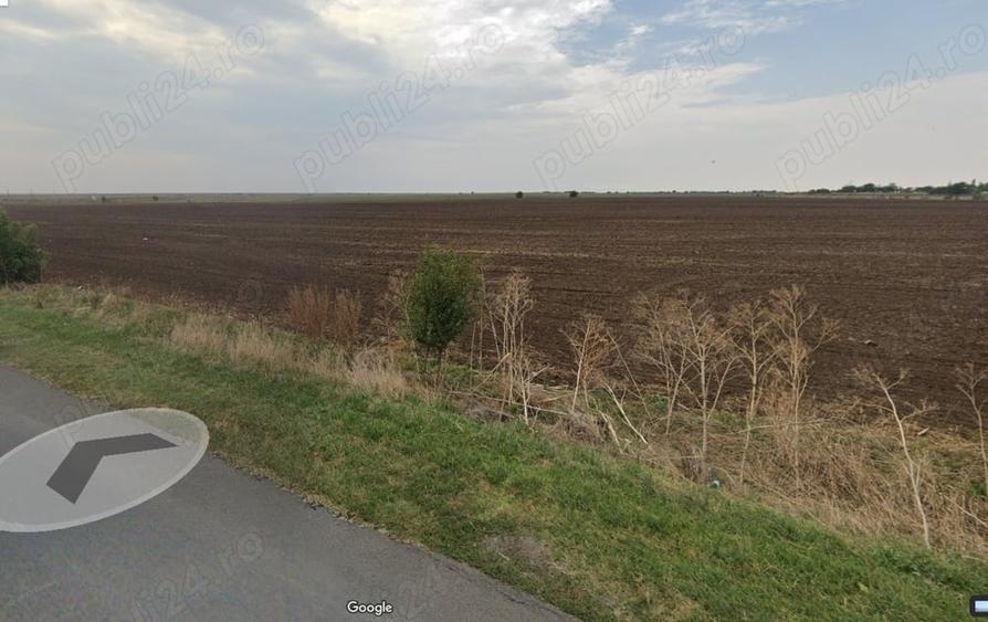 Teren de 12250 mp, în Padina