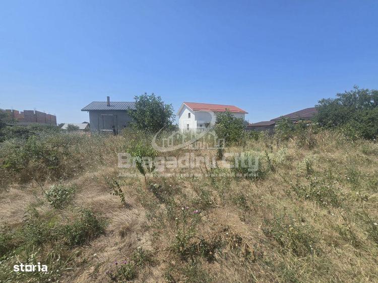 Teren de 545 mp, în Domnești