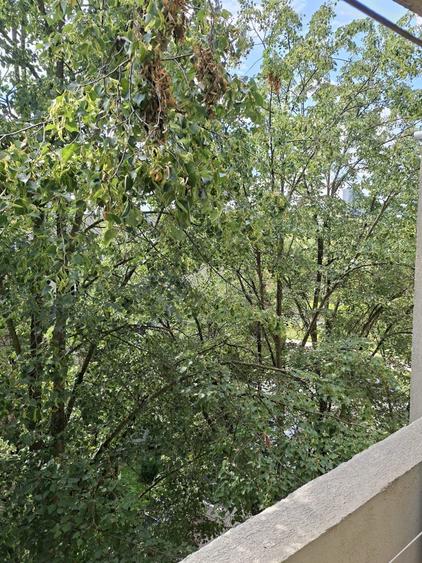 Apartament cu 3 camere în Grigorescu