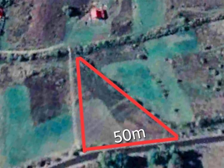 Teren agricol extravilan de 3500 mp, în Grigoreni