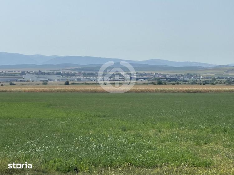 Teren de 20500 mp, în Central