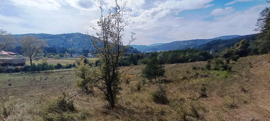 Teren Construcții intravilan de 20000 mp, în Brădet