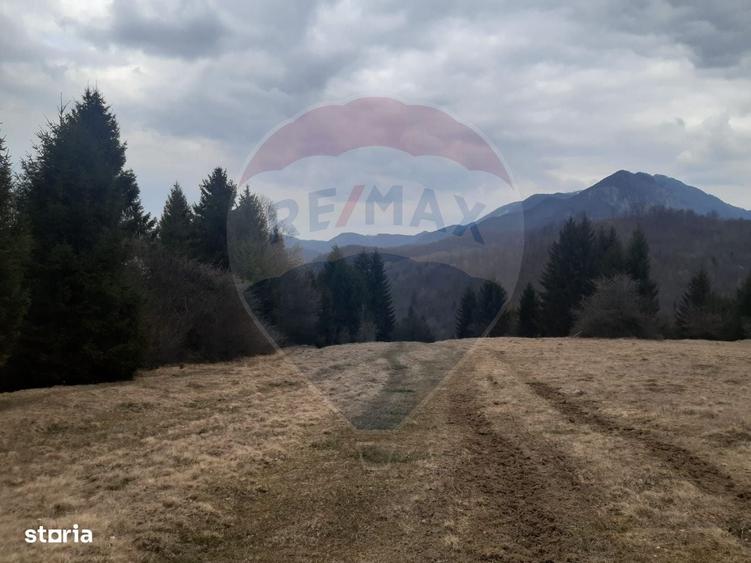 Spațiu comercial, în Părău