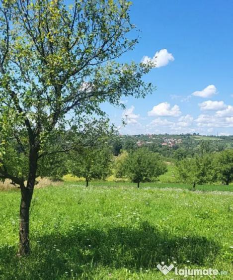 Casă cu 3 camere cu Teren 700 Mp în Dumbrăvița