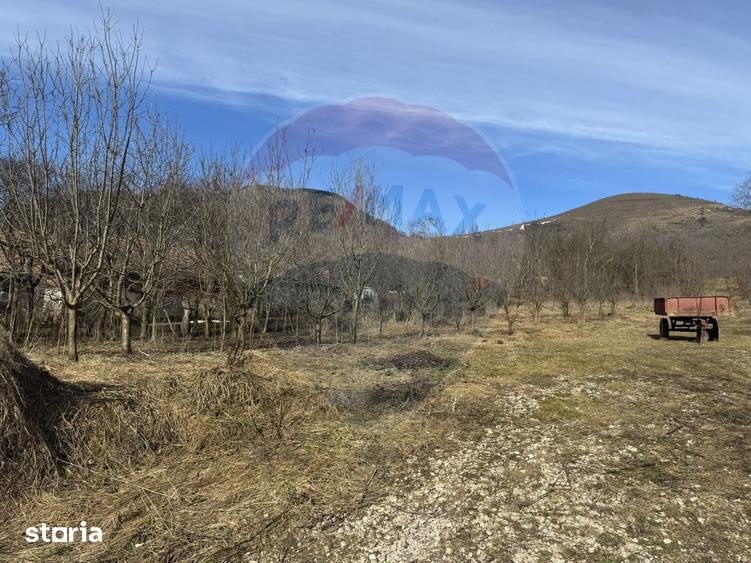 Teren de 1271 mp, în Livezile