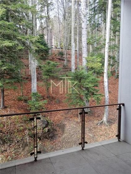 Penthouse cu 5 camere decomandat, mobilat în Furnica
