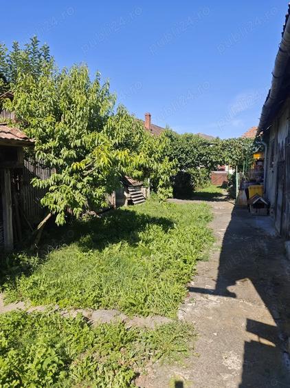 Casă cu 3 camere în Central