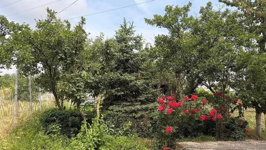 Casă cu 5 camere cu Teren 500 Mp în Pantelimon
