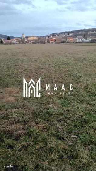 Spațiu comercial, în Gușterița