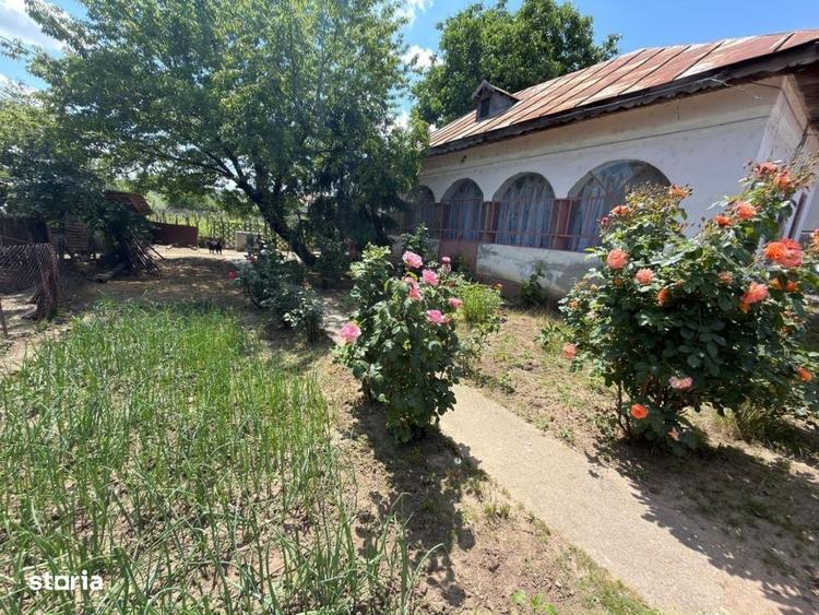 Casă cu 3 camere cu Teren 1110 Mp în Central