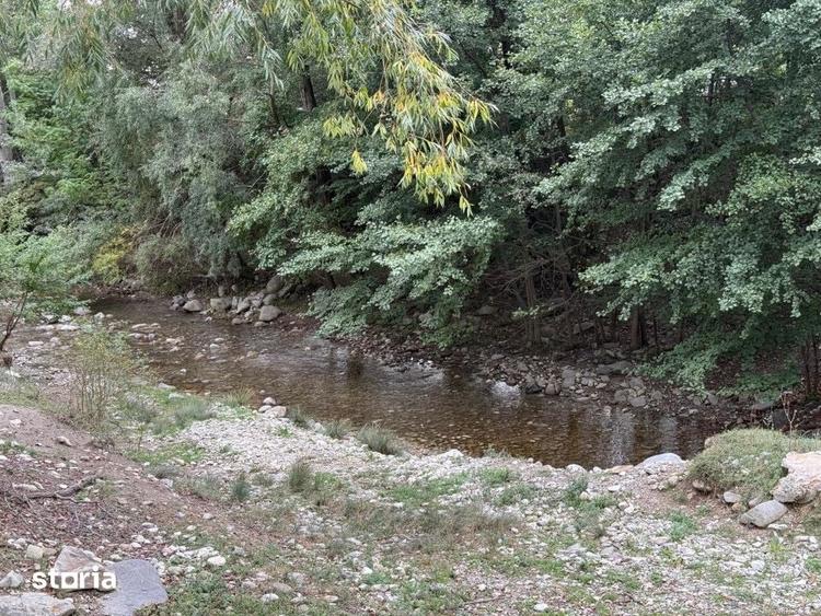 Teren de 13000 mp, în Runcu