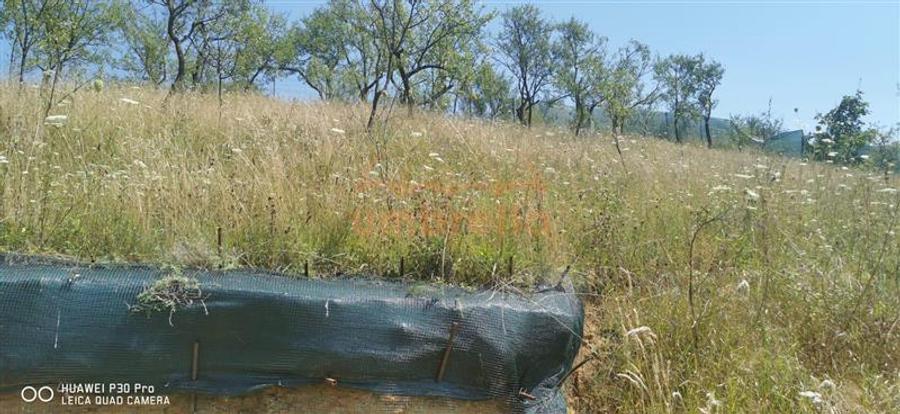 Casă cu 4 camere cu Canalizare în Sumurducu