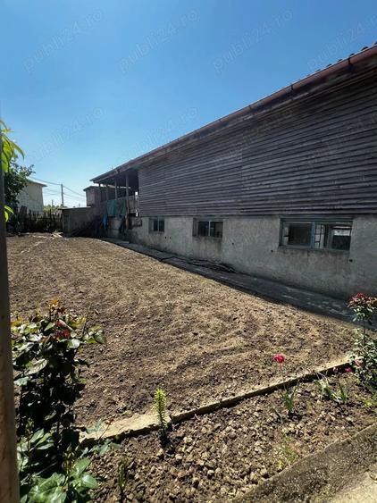 Casă cu 4 camere în Băneasa