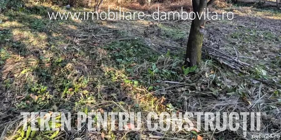 Teren de 2698 mp, în Gura Ocniței