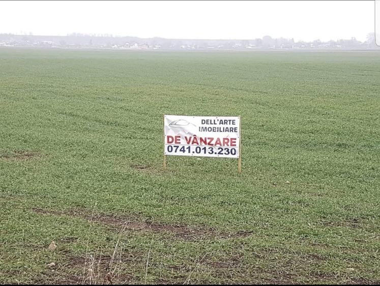 Teren Construcții intravilan de 8400 mp, în Roznov
