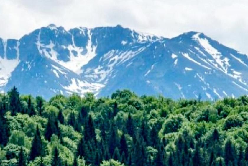 Teren Construcții intravilan de 15000 mp, în Poiana Brașov