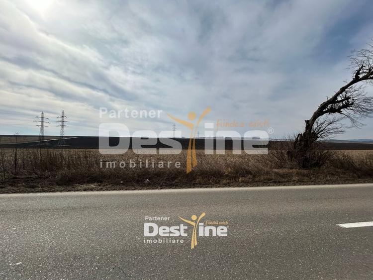 Teren Construcții intravilan de 1300 mp, în Căciulești