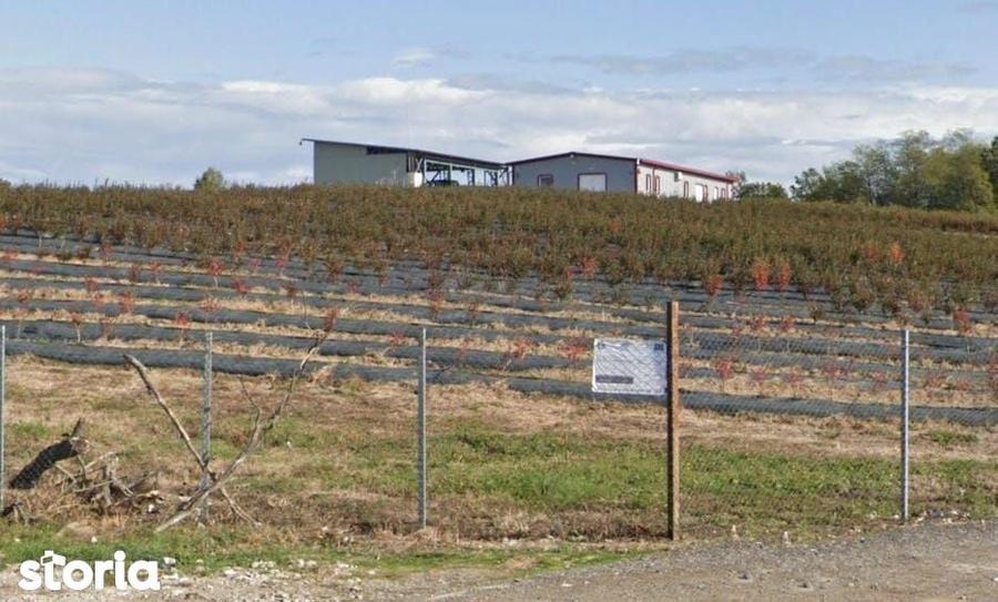 Spațiu comercial, de 370 mp, în Lăpugiu de Jos