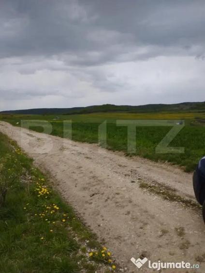 Teren de 3621 mp, în Petrești
