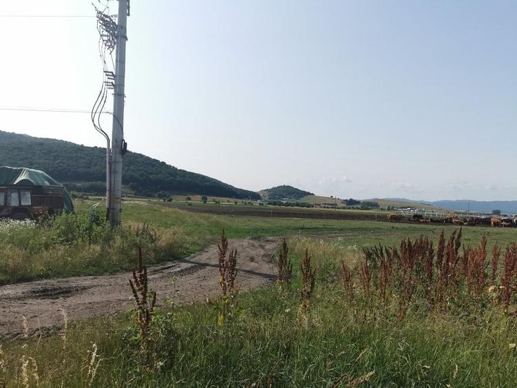 Teren Construcții intravilan de 31400 mp, în Exterior Nord