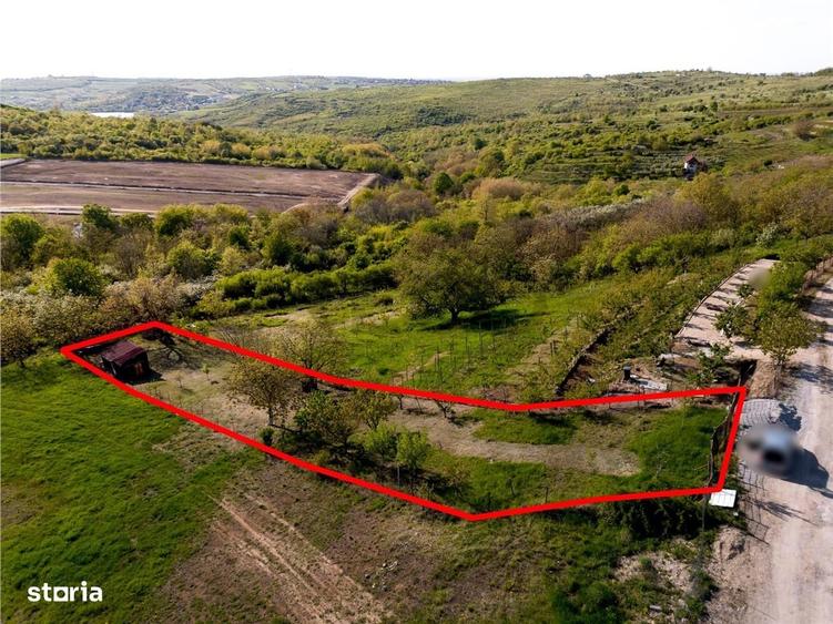 RECO Teren, zona Gheorghe Doja Saldabagiu de Munte, 1129 mp, panorama - 5