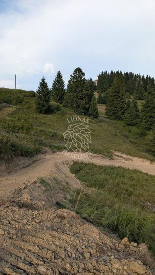 Teren Construcții intravilan de 1000 mp, în Piatra Fântânele