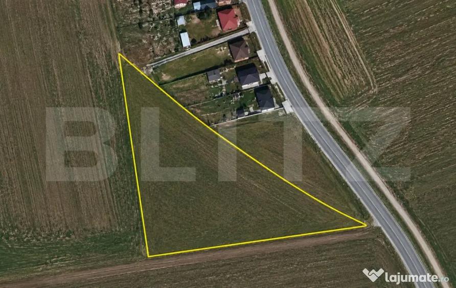 Teren de vanzare, 1889 mp, zona Balta Blonda - 1