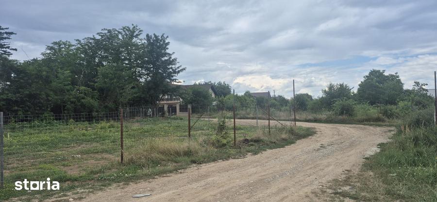 Vanzare lot Balotesti,langa asfalt si utilitati, 30000 euro - 6