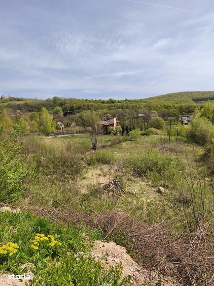Teren de 1263 mp, în Feleacu