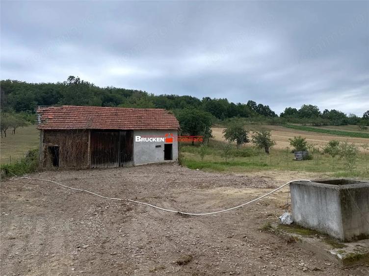 Teren de 60000 mp, în Beiușele