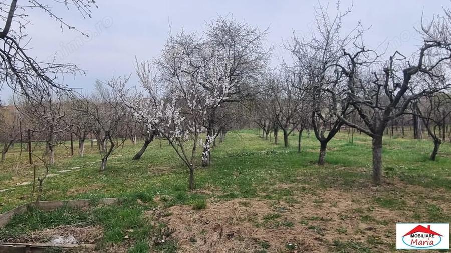 Casă în Viile Satu Mare