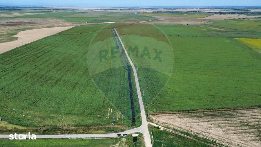 Teren de 5000000 mp, în Slobozia Ciorăști