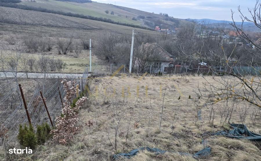 Casă cu Teren 2000 Mp în Sânpaul