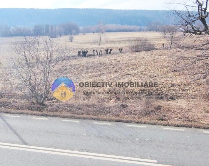 Teren intravilan de 3035 mp, în Bodești